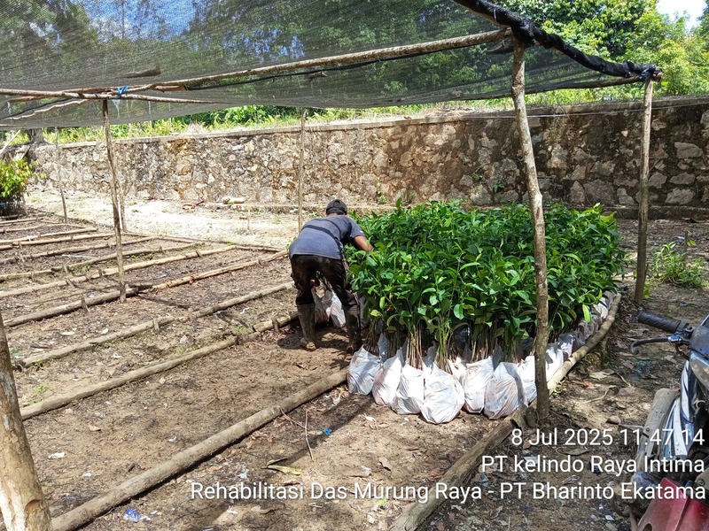 Sistem Informasi Penanaman (SITANAM)