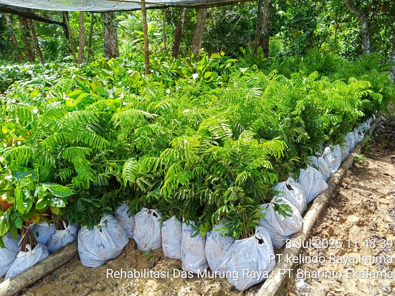 Sistem Informasi Penanaman (SITANAM)