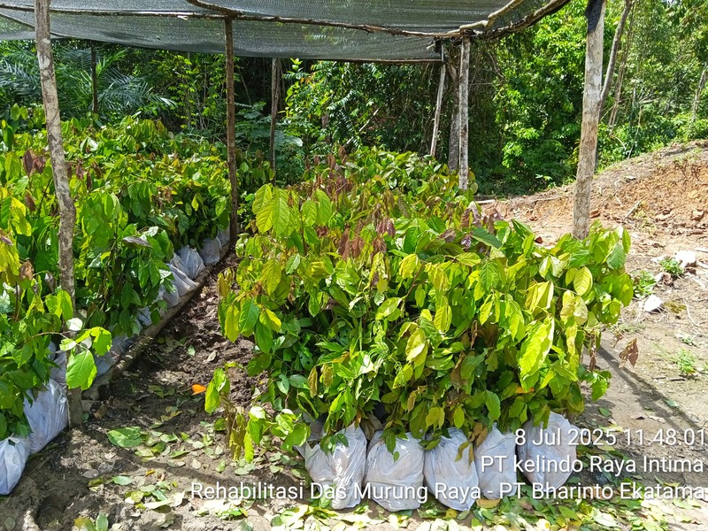 Sistem Informasi Penanaman (SITANAM)