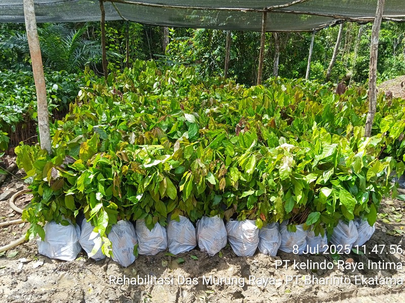 Sistem Informasi Penanaman (SITANAM)