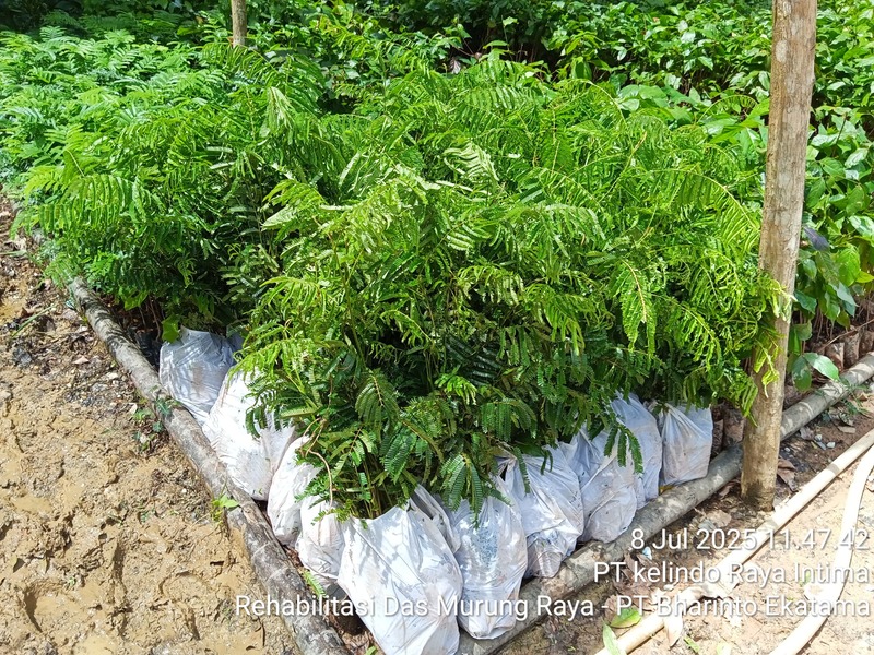 Sistem Informasi Penanaman (SITANAM)