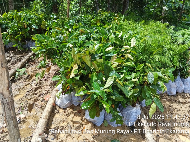 Sistem Informasi Penanaman (SITANAM)